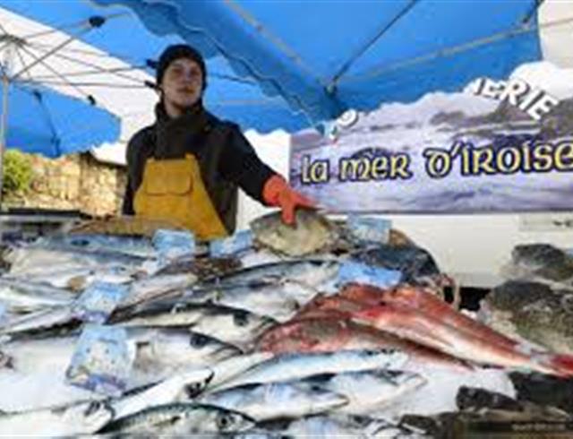 Marché de Crozon 