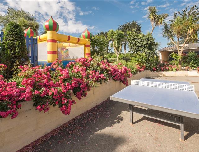 table de ping pong 